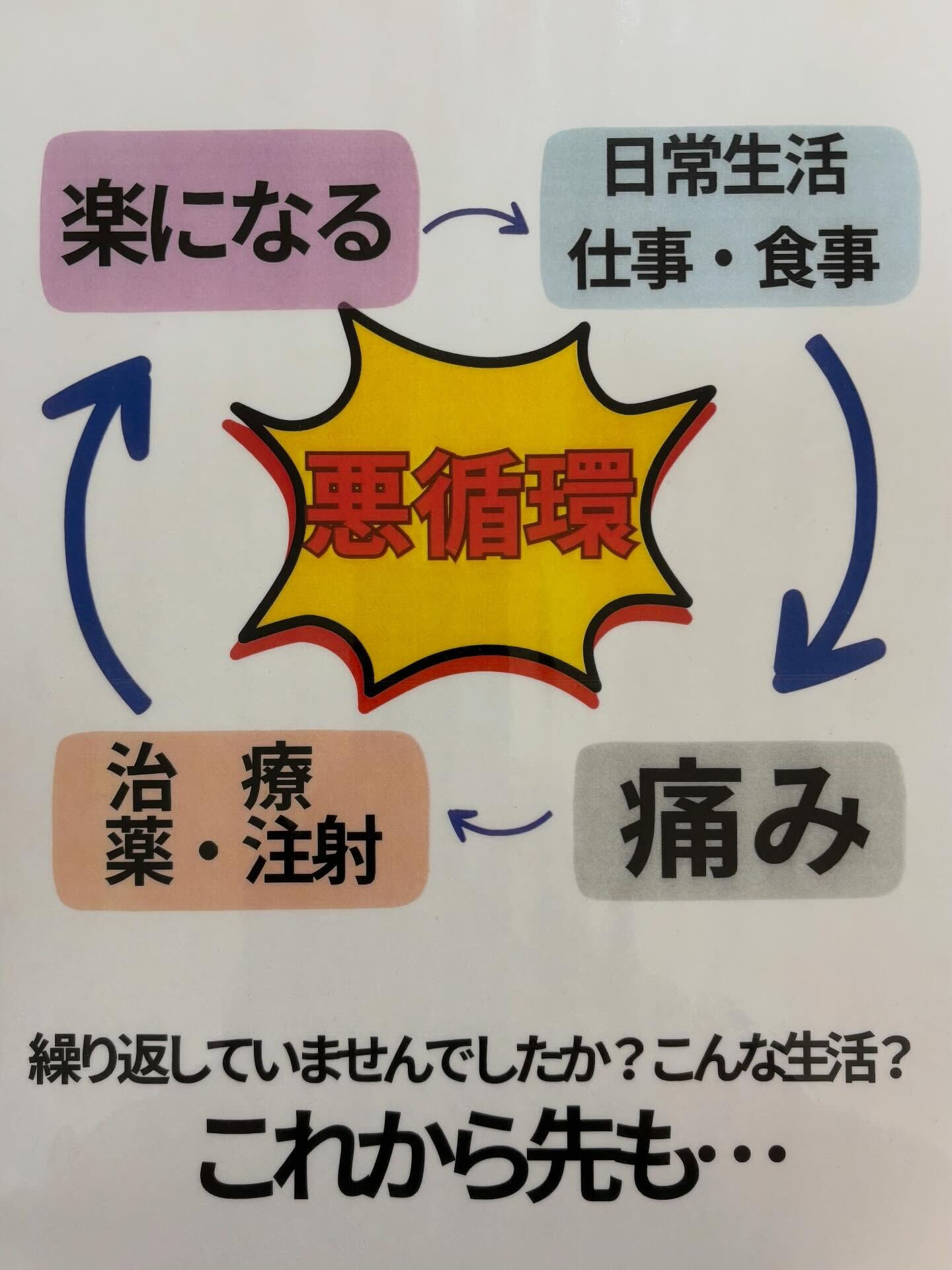 姿勢も体重も良くなってきましたね‼️ 