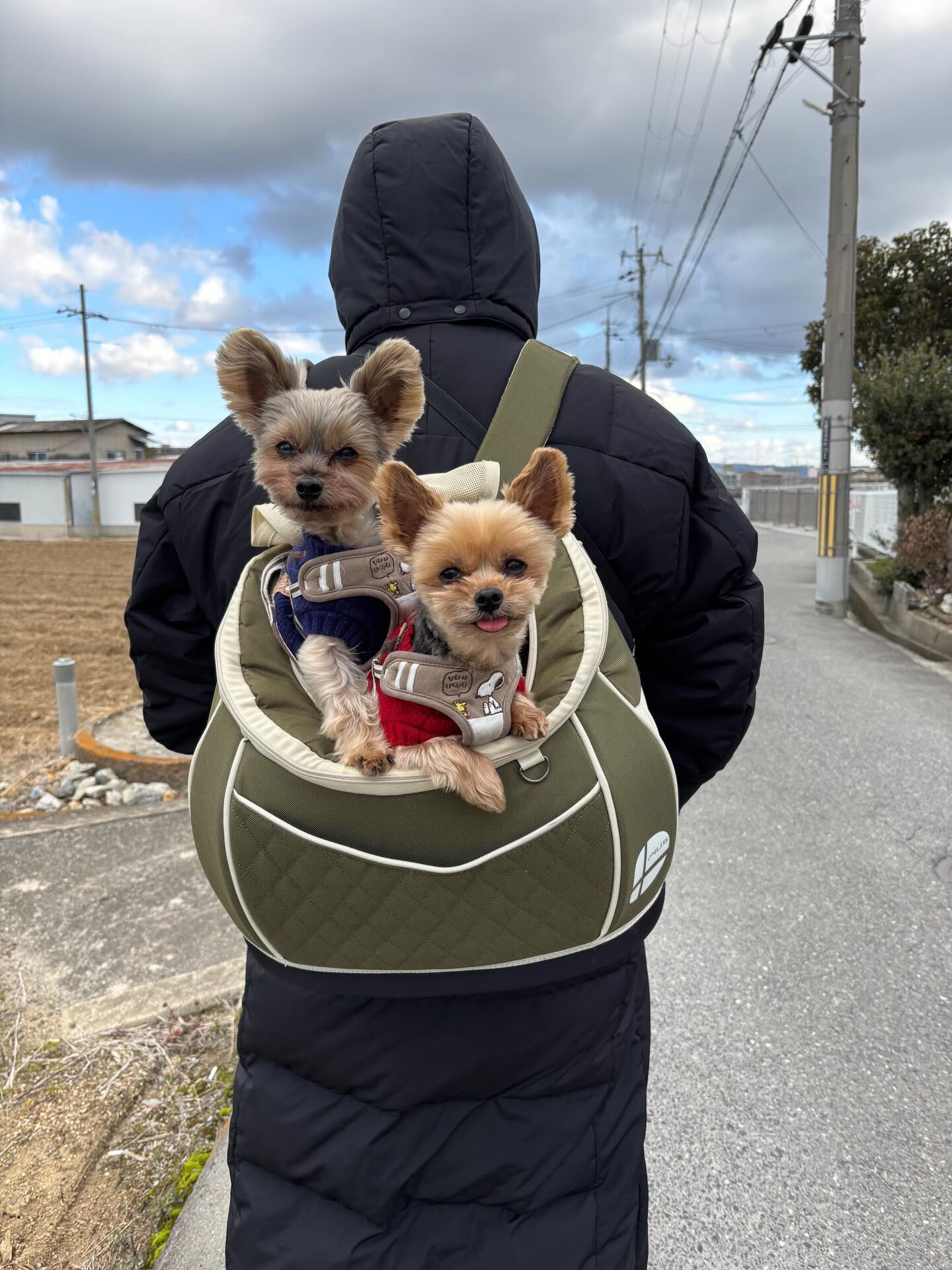 あなたの健康は、骨格から