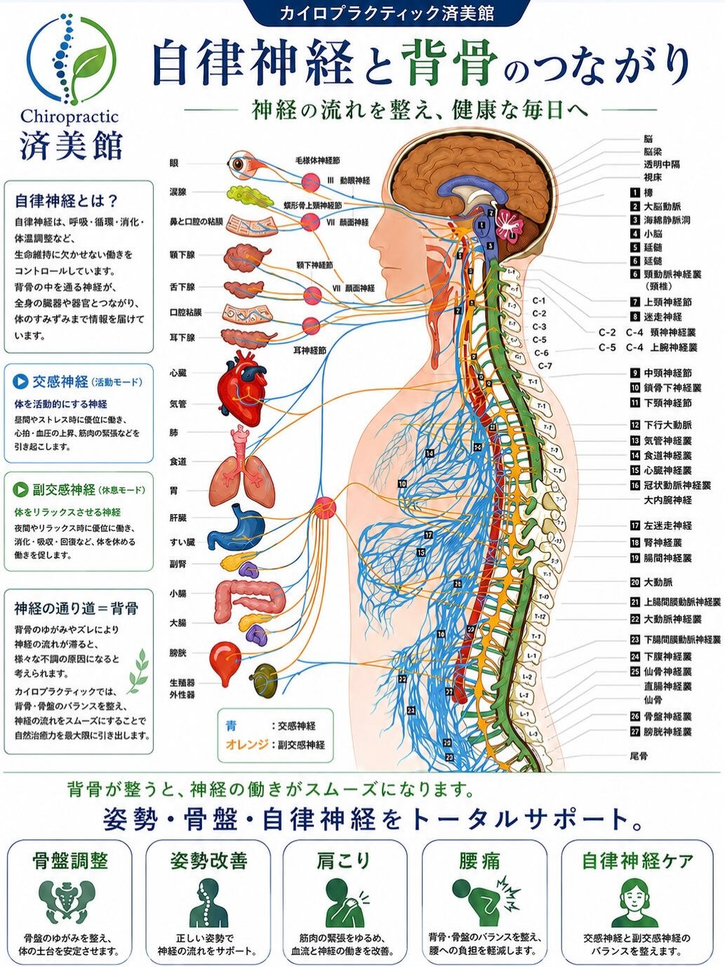 【その腰痛、年齢のせいだと諦めていませんか？】